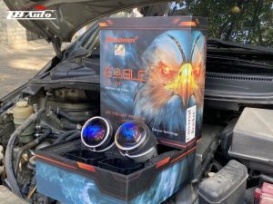 bi gam aozoom eagle flight thanh binh auto 1