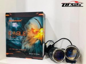 bi gam aozoom eagle flight thanh binh auto 2