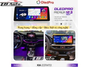 Màn hình Android OledPro Premium 12.3 inch 2022 3 Màn hình đẳng cấp nhất hiện tại 12.3 inch full HD