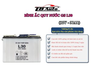 Bình ắc quy nước GS L30 ( 12V-30AH ) 1 Binh ac quy GS L30 1