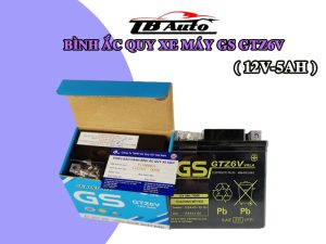 Bình ắc quy xe máy GS GTZ6V ( 12V-5AH ) : 1 Binh ac quy xe may GS GTZ6V 1