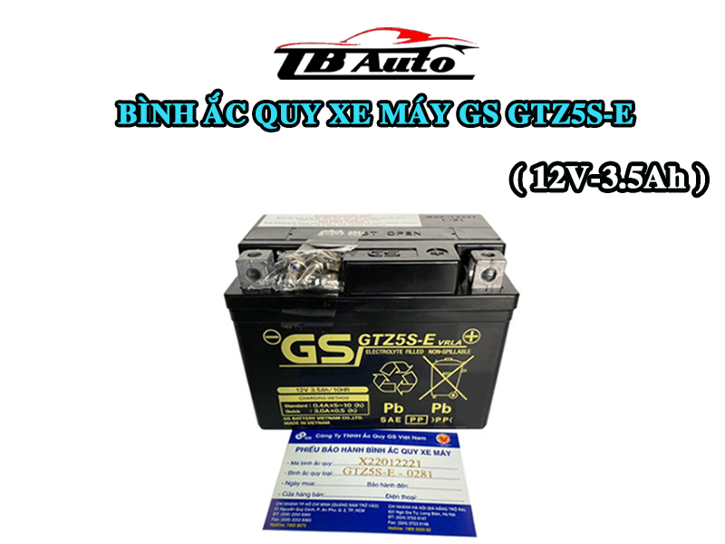 Bình ắc quy xe máy GS GTZ5S-E ( 12V-3.5Ah )