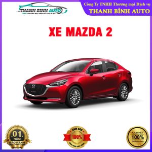 Các loại phụ kiện đồ chơi cho xe mazda 2