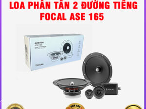 Loa phân tần 2 đường tiếng Focal ASE 165 TB Auto